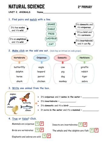 Unit 2: What do you know about animals?