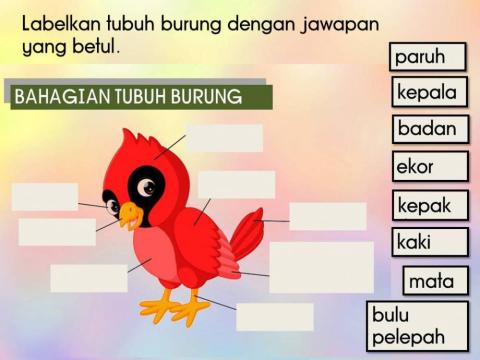 Label bahagian tubuh burung - PSSAS MAPMI