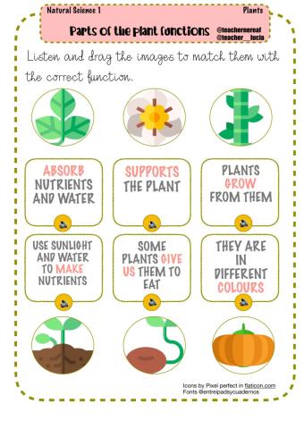 Parts of the plant functions