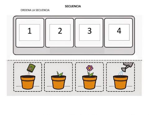 Secuencia crecimiento de una planta