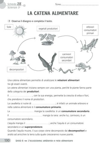 Verifica scienze