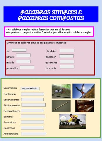 Palabras simples e palabras compostas