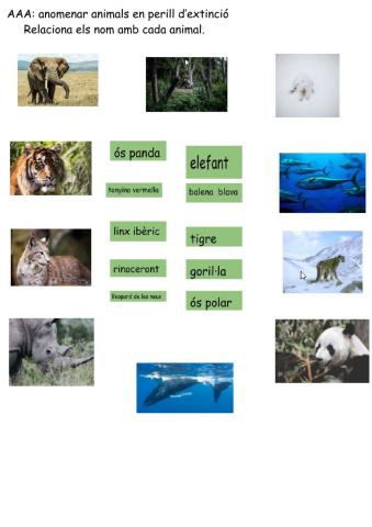 Animals en perill d'extinció