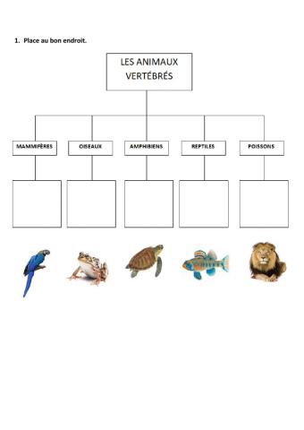 Les animaux vertébrés