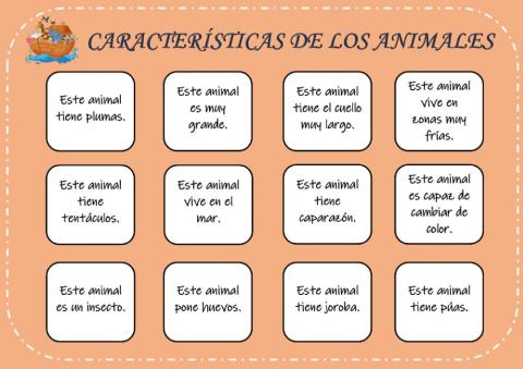 Características Animales