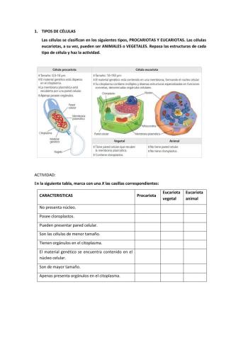 La célula y las biomoléculas