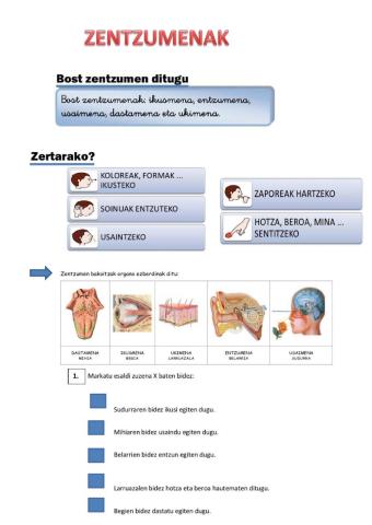 Zentzumenak