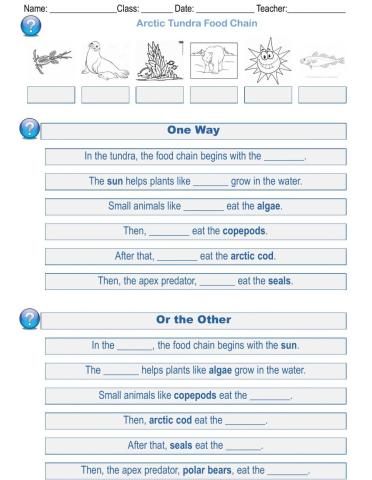 Arctic Tundra Food Chain