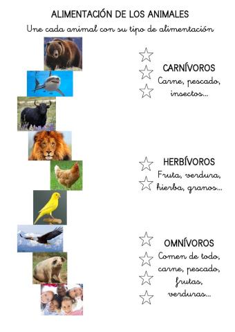 Alimentación de los animales