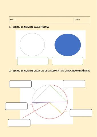 Cercle - Circumferència