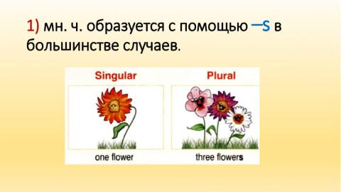 Plural nouns