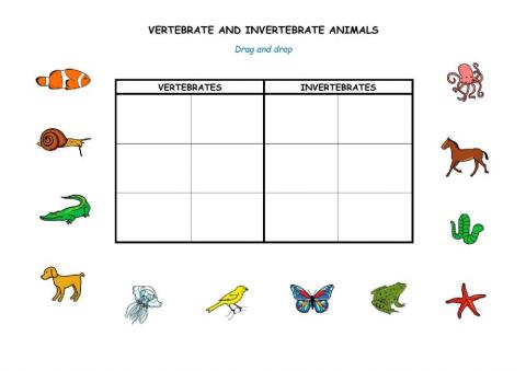 Vertebrate and Invertebrate Animals