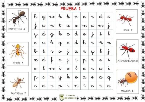 P1 hormigas final