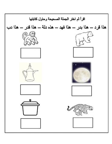 اقرأ ثم اختر الجملة الصحيحة