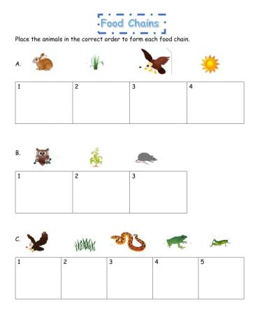 Food Chains