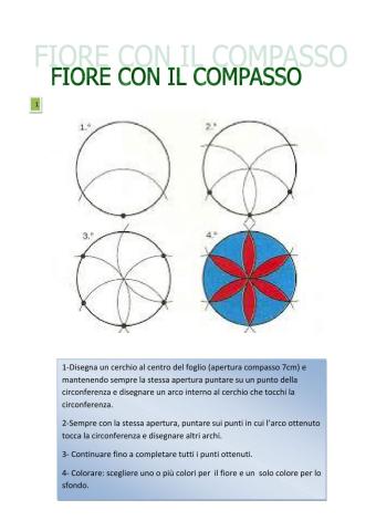 Fiori con il compasso