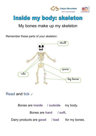 Bones