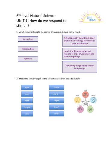 6th Level Natural Science Unit 1