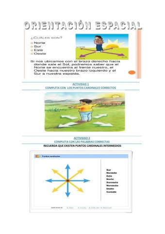 Orientacion  segundo ciclo