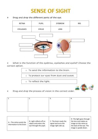 SIGHT AND HEARING