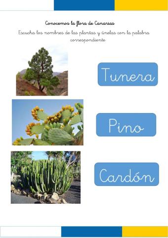 Fauna canaria