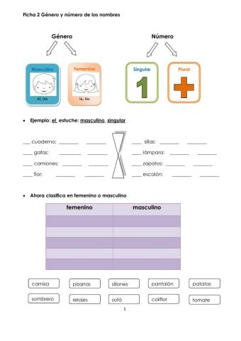 Lengua Género y número de los nombres