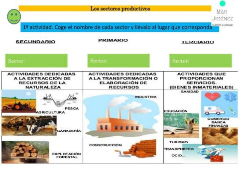 Los sectores productivos