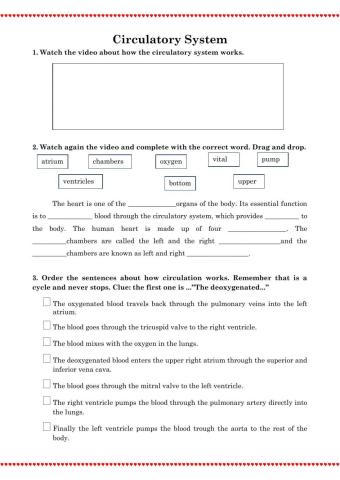 Circulatory System
