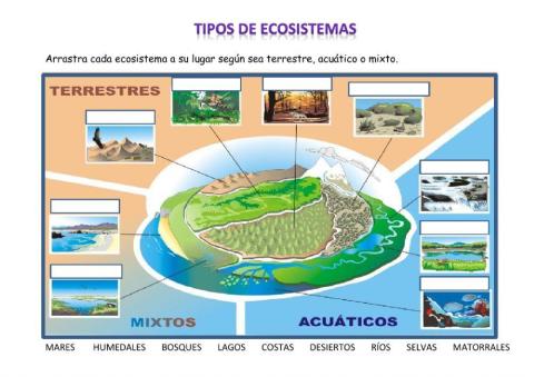 Tipos de ecosistemas