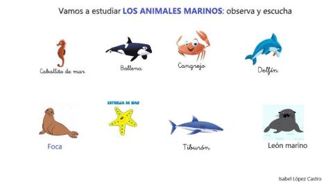 Animales marinos