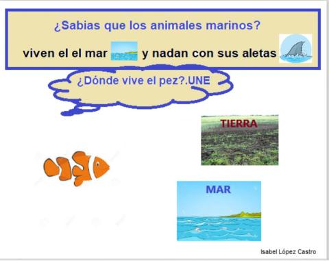 Animales marinos