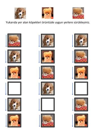 Köpeklerle Örüntü