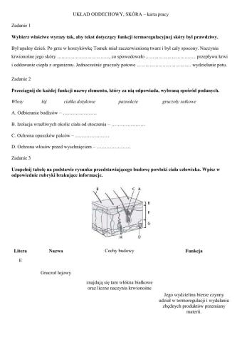 Układ oddechowy, skóra - karta pracy