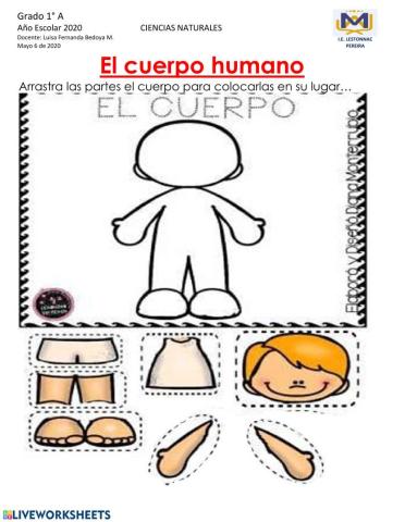 CUERPO HUMANO grado 1-Rompecabezas(arrastre de frichas)