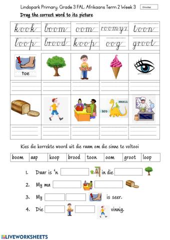 Grade 3:FAL Afrikaans Term 2 Week 3 Klank oo Worksheet 2 Tuesday