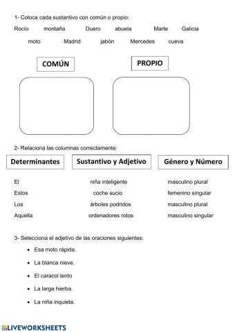 Determinantes, sustantivo y adjetivo