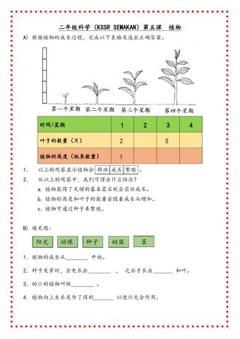 二年级科学第五课  植物