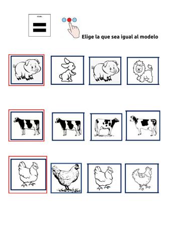 Discriminación visual