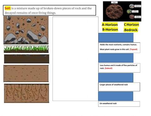 Soil Horizon