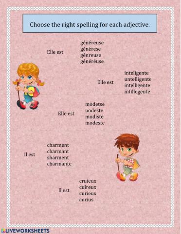 Les adjectifs féminins et masculins