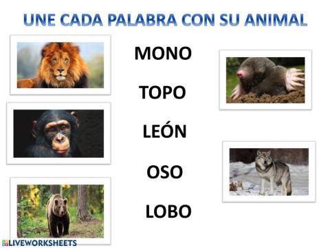 Une cada palabra con su animal