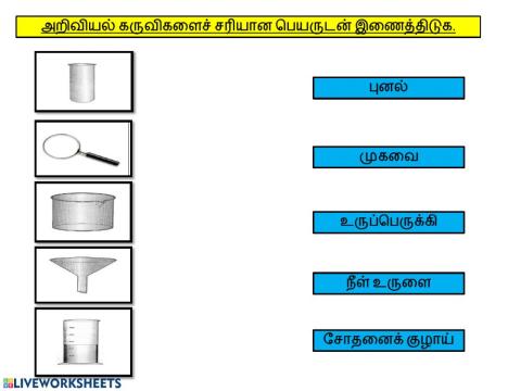 அறிவியல் ஆண்டு 1