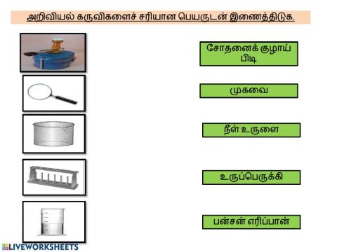 அறிவியல் ஆண்டு 2