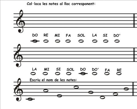 Col·loca les notes al lloc corresponent