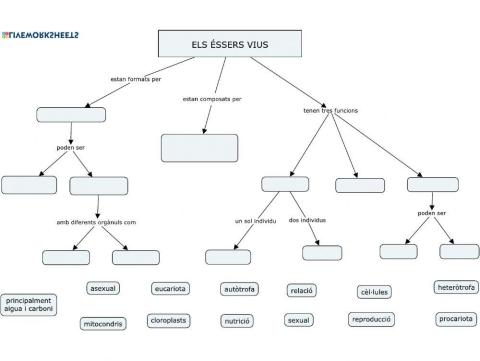 Els éssers vius