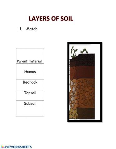 Layers of soil