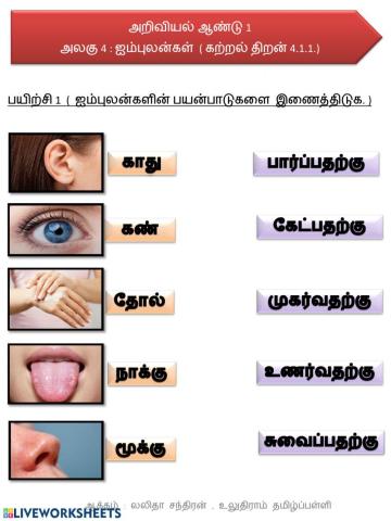 ஐம்புலன்களின் பயன்பாடு