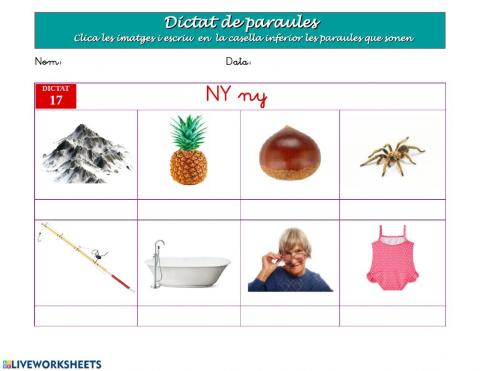 Dictat de paraules 17.- La lletra NY