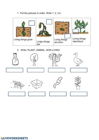 Living  things: characteristics