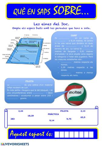 Que saps sobre... Voleibol 02